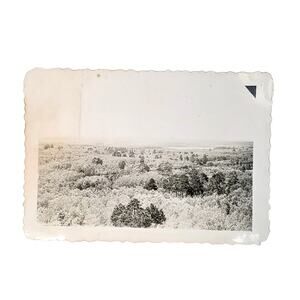 Vtg Itasca State Park Original Monochrome Photo 1946 Found Snapshot Landscape